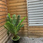 Avec Jardinet Sans Vis A Vis Plein Centre Au Rdc 350m De La 公寓 迪耶普