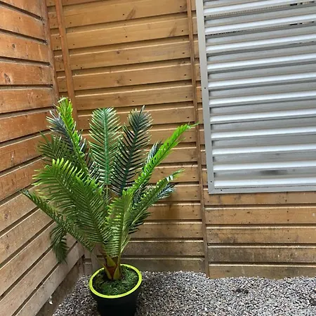 Avec Jardinet Sans Vis à Vis Plein Centre Au Rdc 350m De La Appartement Dieppe