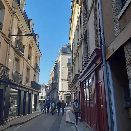 Appartement Avec Jardinet Sans Vis à Vis Plein Centre Au Rdc 350m De La