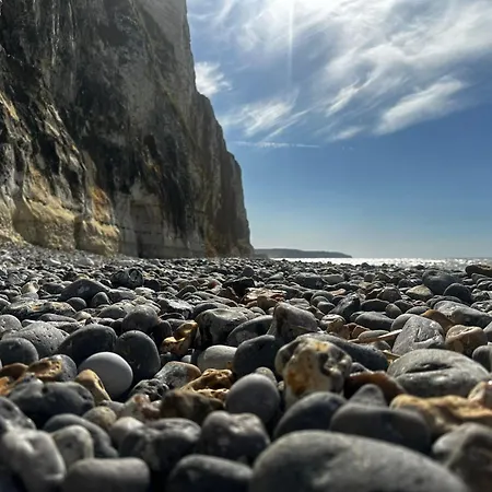 Avec Jardinet Sans Vis à Vis Plein Centre Au Rdc 350m De La * Dieppe