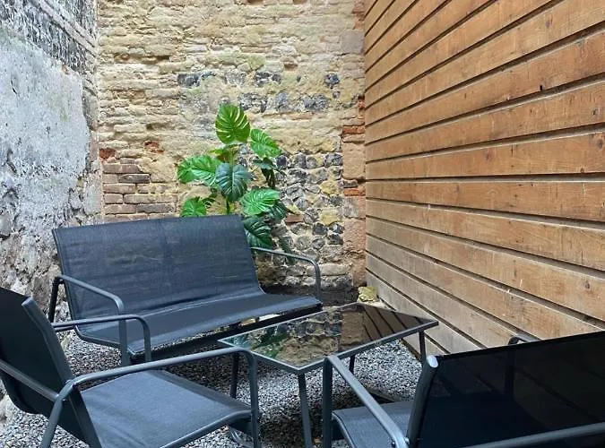 Appartement Avec Jardinet Sans Vis à Vis Plein Centre Au Rdc 350m De La Dieppe